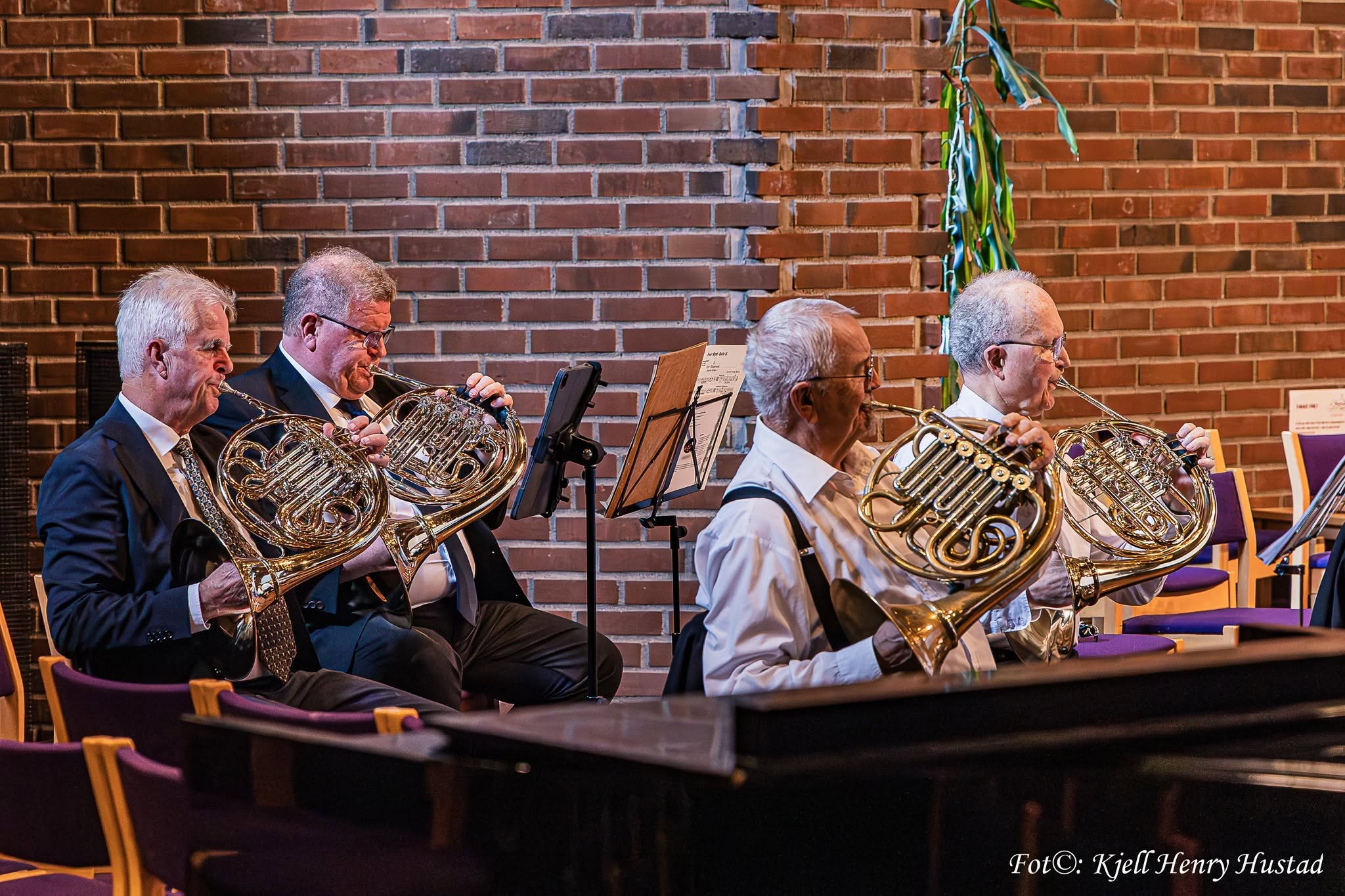 Hornrekken spiller under konserten